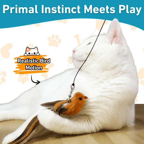 Interactive Bird Simulator