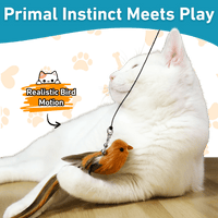 Interactive Bird Simulator