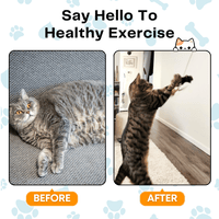 Interactive Bird Simulator