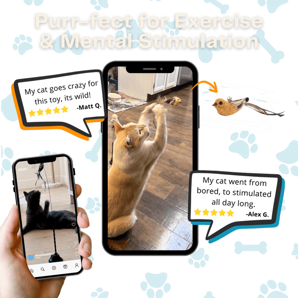 Interactive Bird Simulator