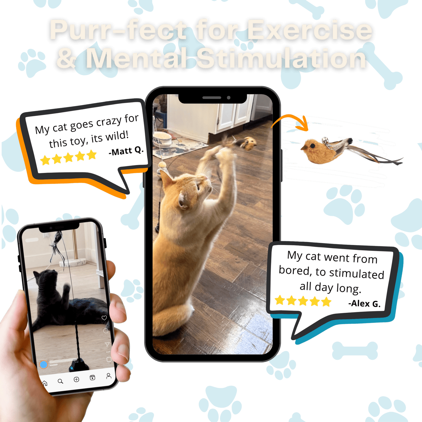 Interactive Bird Simulator