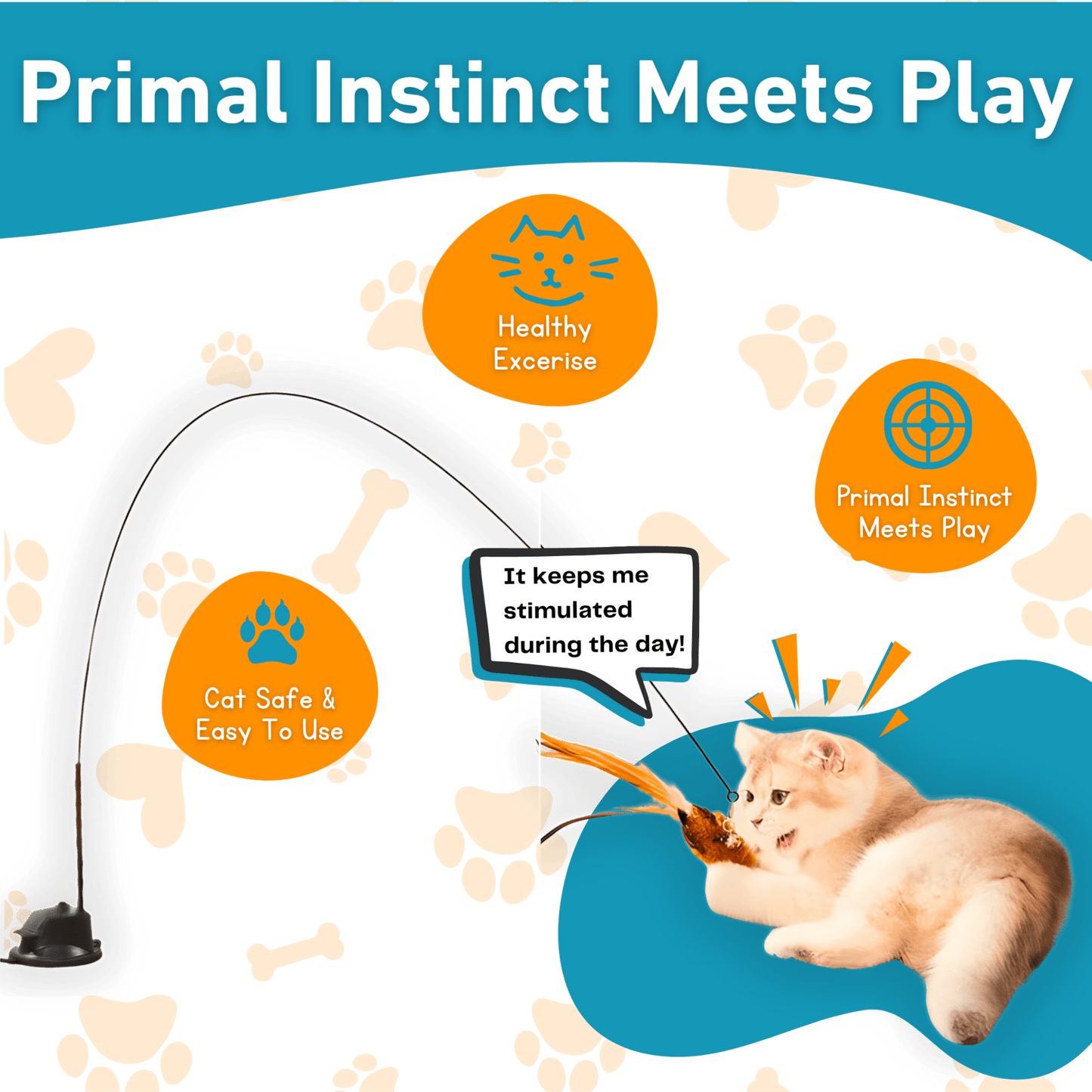 Interactive Bird Simulator