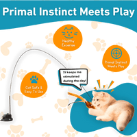 Interactive Bird Simulator