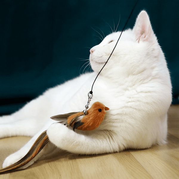 Interactive Bird Simulator