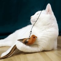 Interactive Bird Simulator