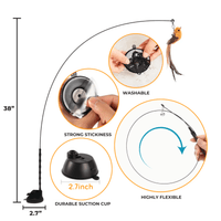 Interactive Bird Simulator