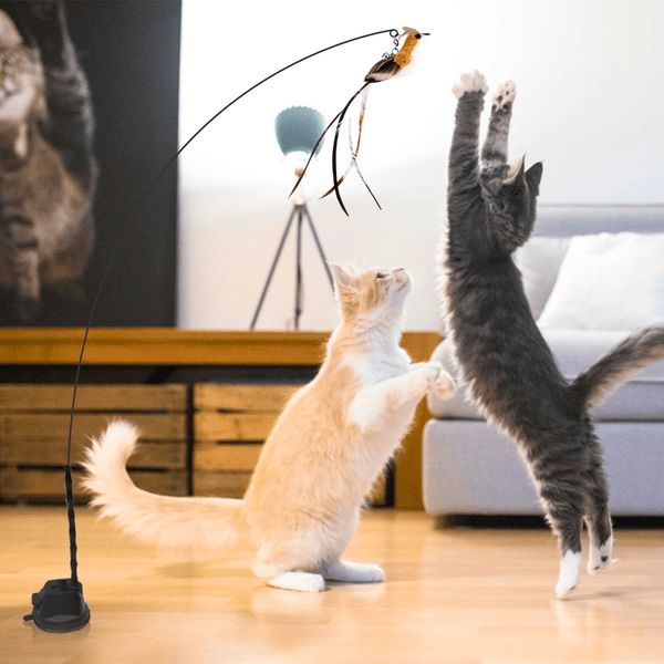 Interactive Bird Simulator