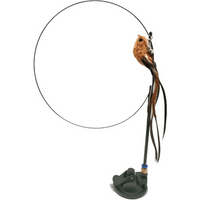 Interactive Bird Simulator