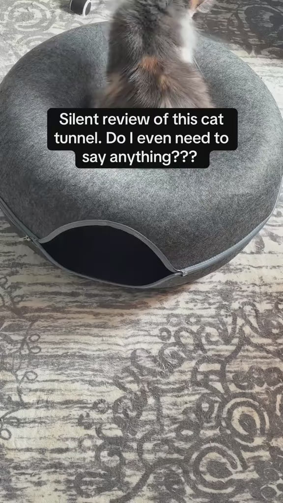 PurrCavern Cat Cave video