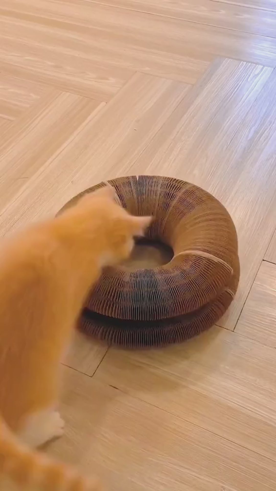 Magic Primal Curler video