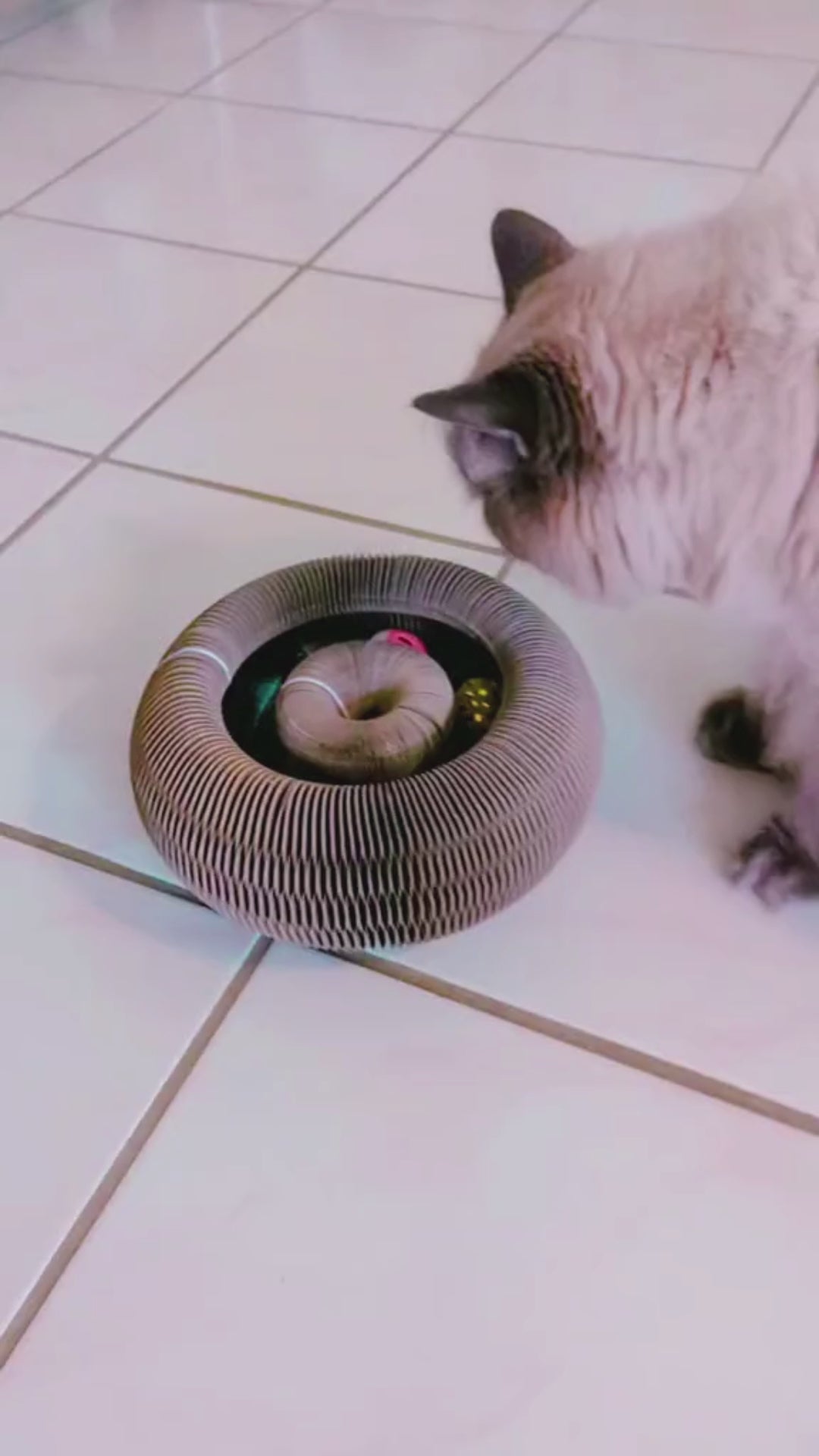 Magic Primal Curler video